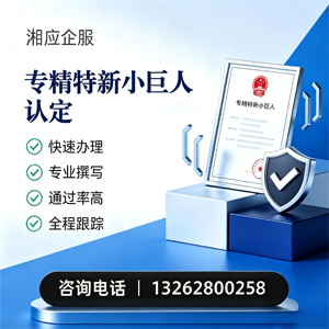 长治专精特新小巨人申报服务