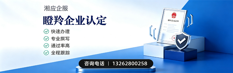 长治瞪羚企业认定申报服务