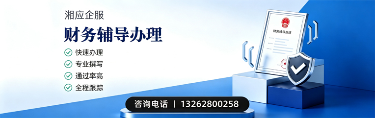 长治财务辅导申请服务
