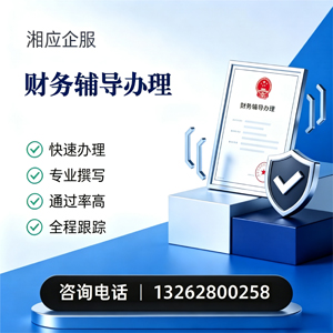 长治财务辅导申请服务
