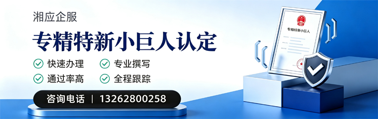 长治专精特新小巨人申报服务